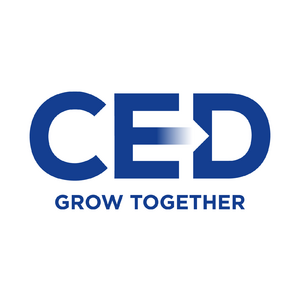 CED Central European Nonprofit ltd.